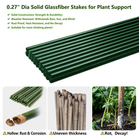 SnyGardn tomato support stake in garden helping tomato plants stand tall.