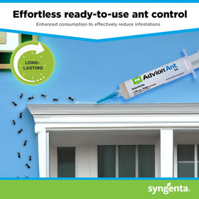 Outdoor application area showing ants and gel for outdoor pest control.