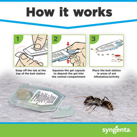Syngenta Advion ant gel station outdoors helps control infestations near entryways.