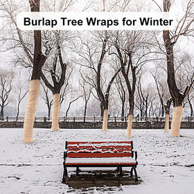 SYWHXY natural burlap wrap provides breathable warmth for bare tree trunks