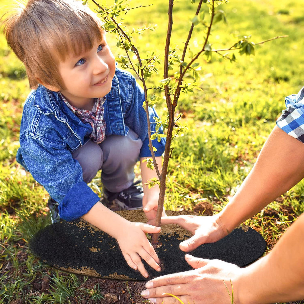 SYWHXY non-woven ring with breathable material for healthy soil around trees.
