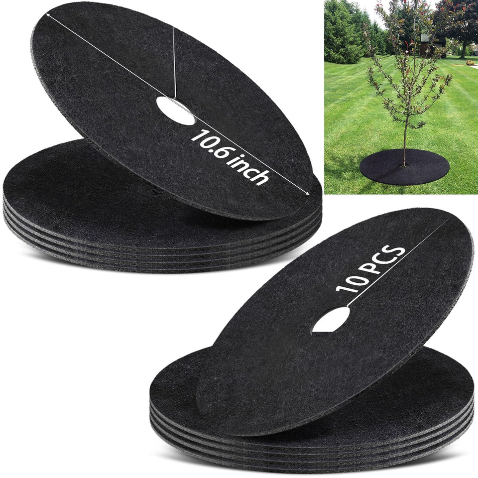 SYWHXY tree mulch ring around a sapling providing weed barrier and root protection.