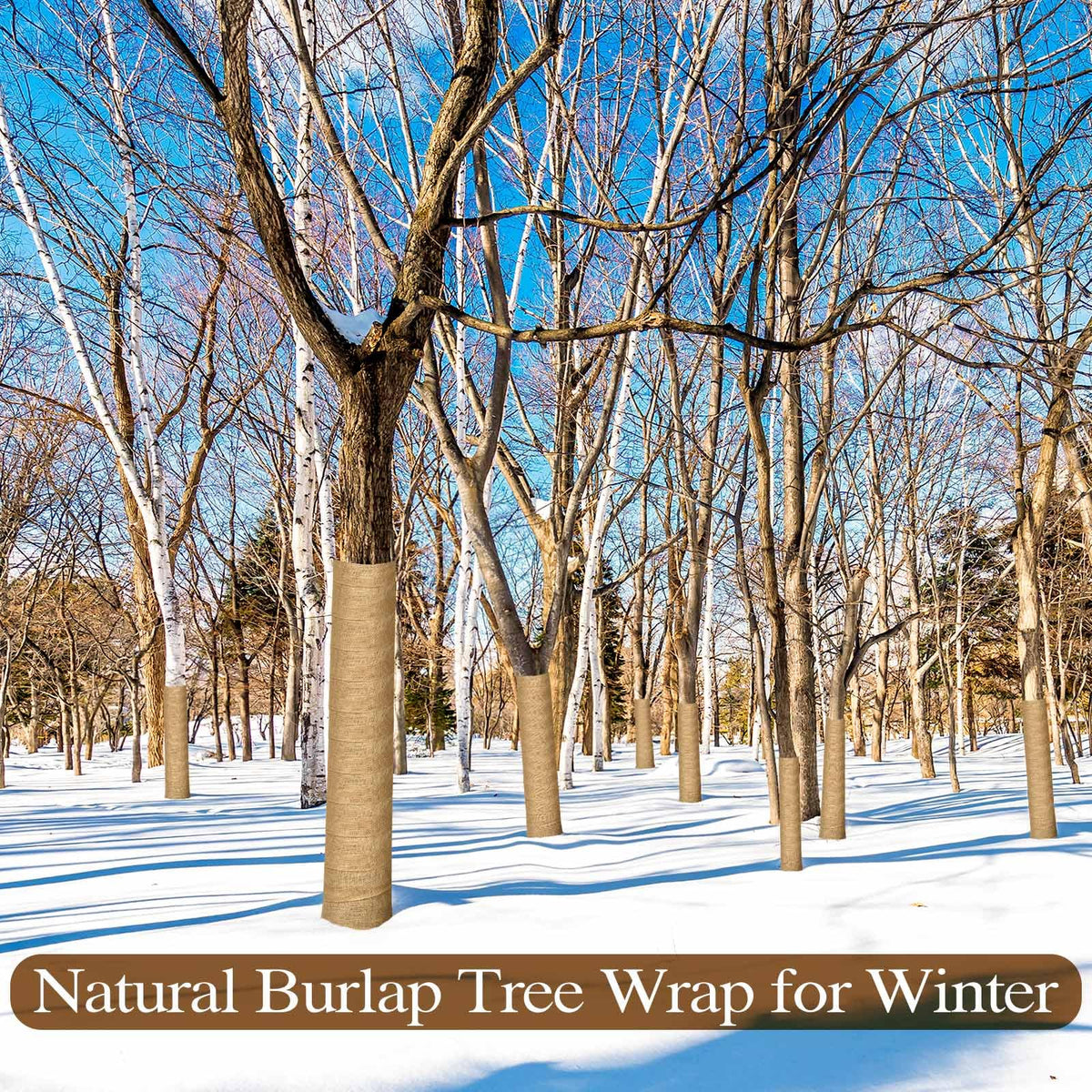SYWHXY winter protection closeup of bark wrap highlights warmth and wind shield