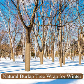 SYWHXY winter protection closeup of bark wrap highlights warmth and wind shield