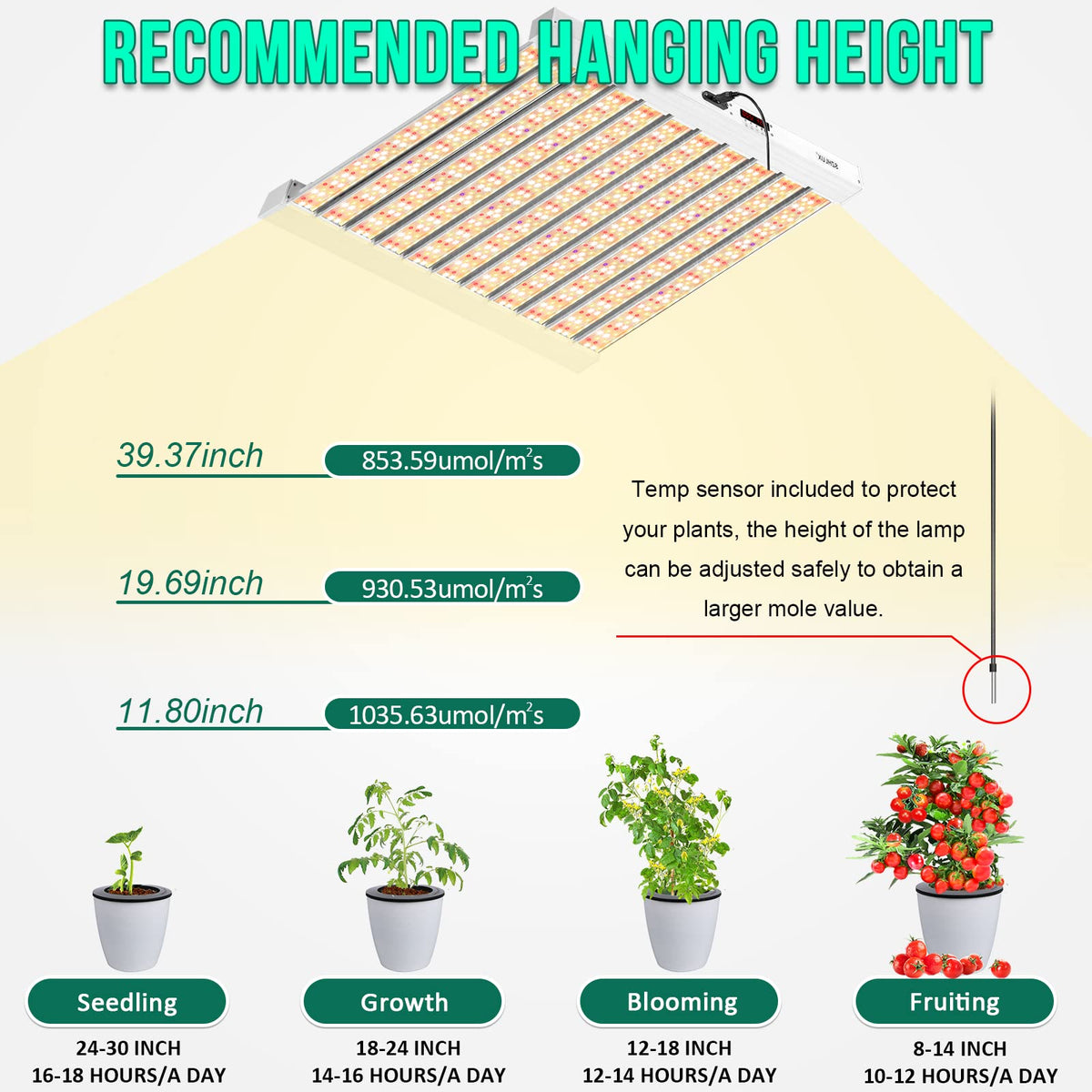 SZHLUX 500W LED Grow Light coverage 4x4 feet supports early vegetative growth.