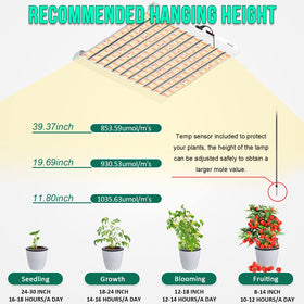 SZHLUX 500W LED Grow Light coverage 4x4 feet supports early vegetative growth.