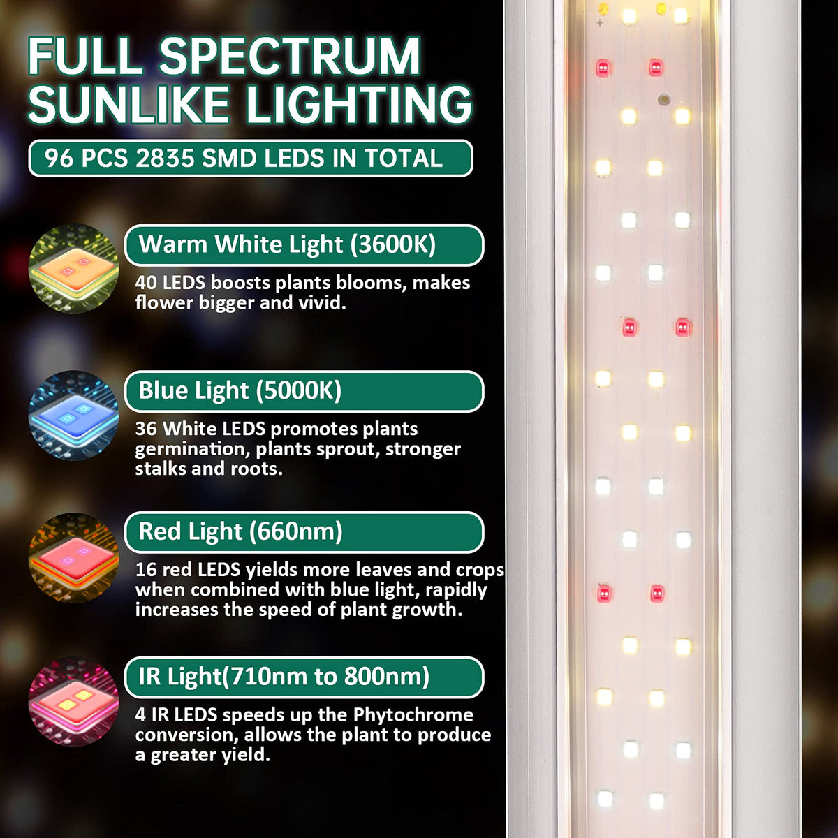 SZHLUX LED Grow Light 2ft side angle highlighting slim profile for tight spaces.