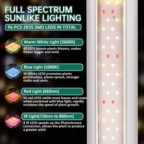 SZHLUX LED Grow Light 2ft side angle highlighting slim profile for tight spaces.