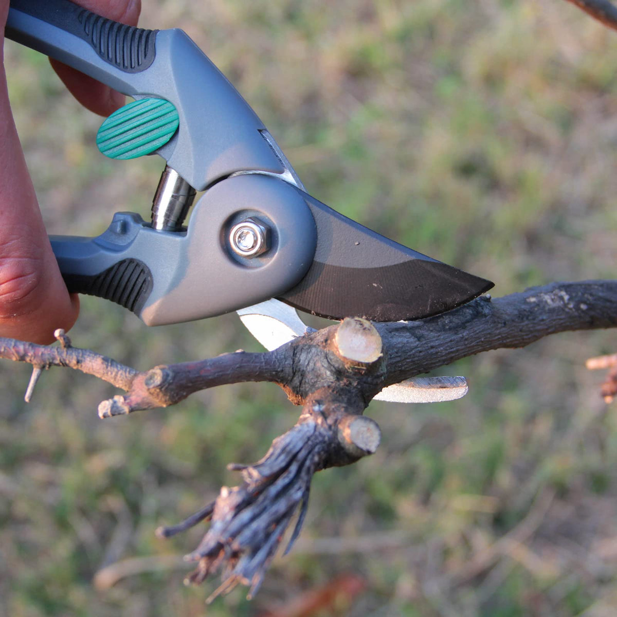 SZHLUX pruning shears cutting capacity illustrating branches up to 1 inch