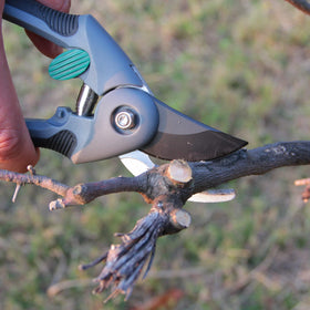 SZHLUX pruning shears cutting capacity illustrating branches up to 1 inch
