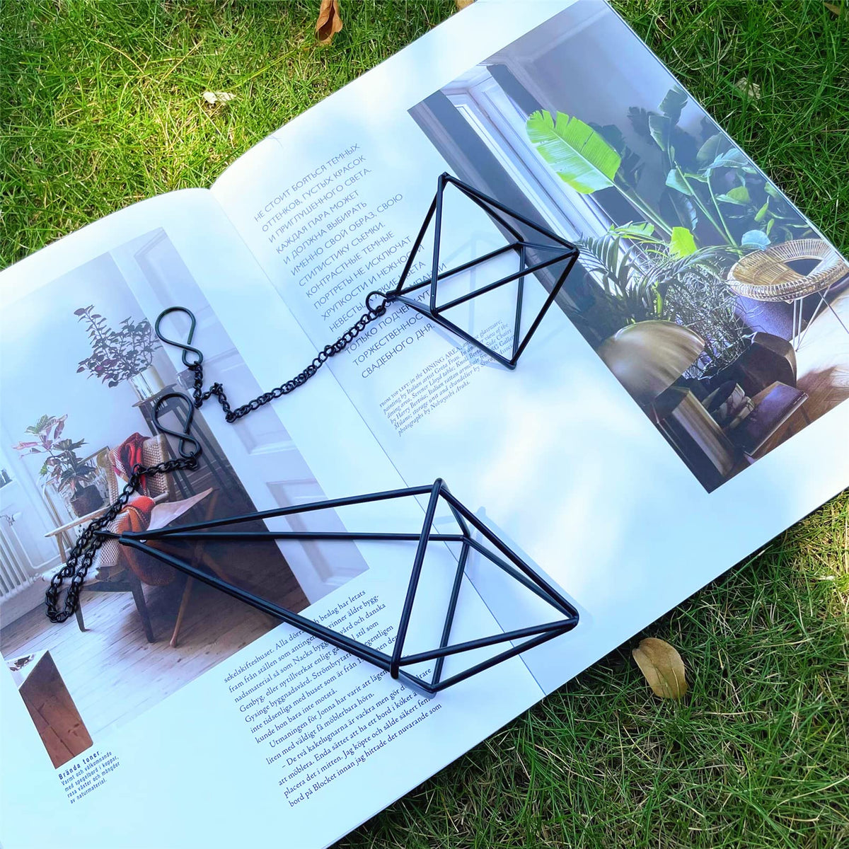 SZRUIZFZ 6-piece air plant hanger set ready for home decor