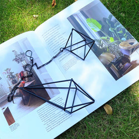 SZRUIZFZ 6-piece air plant hanger set ready for home decor