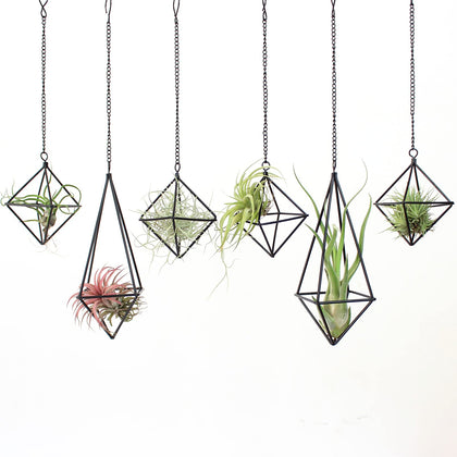 SZRUIZFZ black metal air plant hanger long octahedron on wall for space-saving display