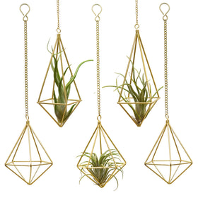 SZRUIZFZ geometric square hanger assembly in gold metal for stylish air plant display