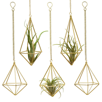 SZRUIZFZ geometric square hanger assembly in gold metal for stylish air plant display