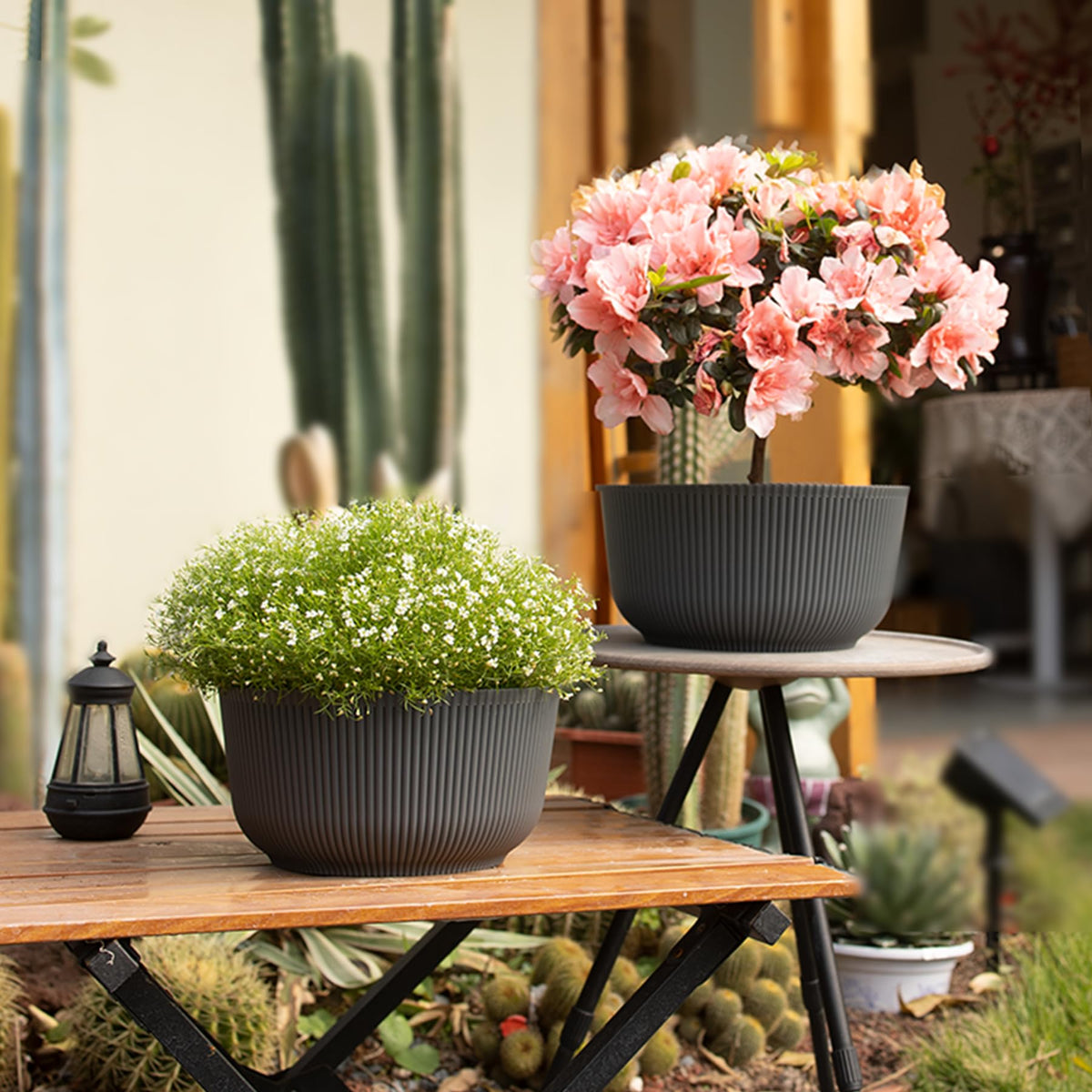 T4U 10inch plant pot in living room blends with decor