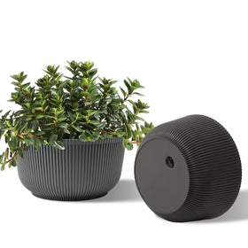 T4U 10inch self-watering pot setup shows consistent moisture for indoor plants