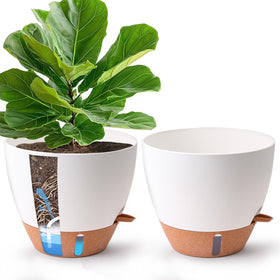 T4U self-watering pot front view for busy homes