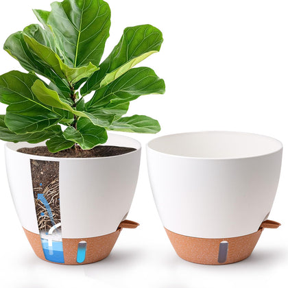 T4U self-watering pot front view for busy homes