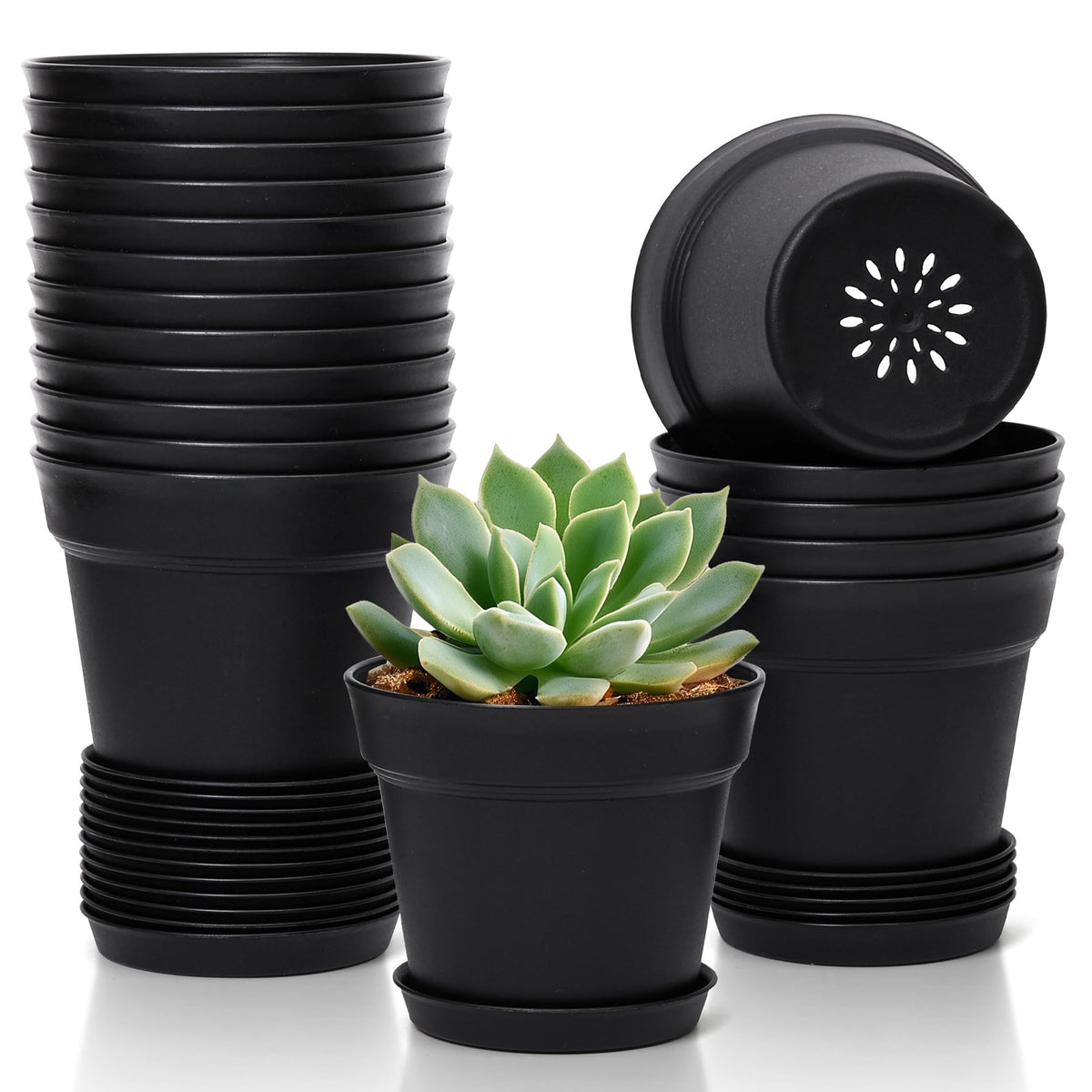 T4U 18-pack 4-inch plant pots with saucers for tidy indoor gardening.