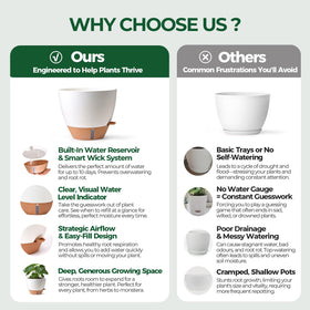 T4U 2-pack 10-inch planters arranged for cohesive indoor decor