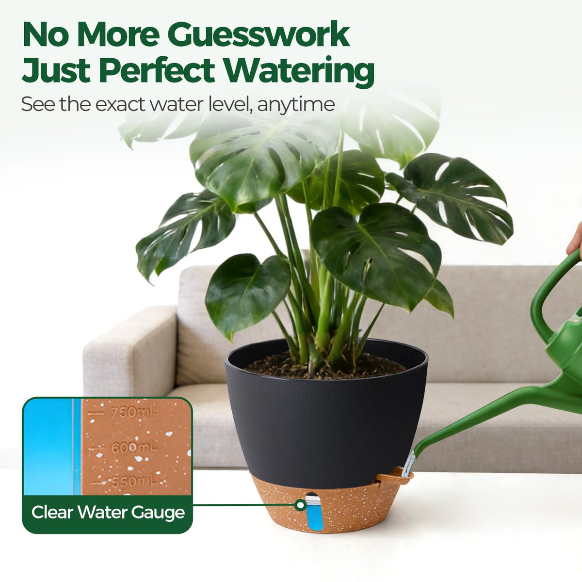 T4U 2-pack 10-inch self-watering pot ideal for Bird of Paradise styling
