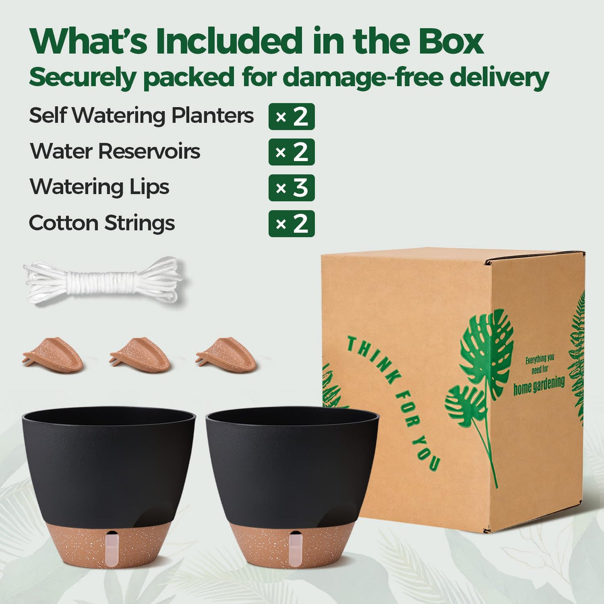 T4U 2-pack 10-inch self-watering pot supporting Fiddle Leaf Fig indoors