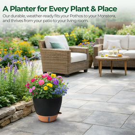 T4U 2-pack 10-inch self-watering pot reduces mess and simplifies care