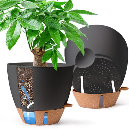 T4U 2-pack 10-inch self-watering pot with water level indicator for easy monitoring