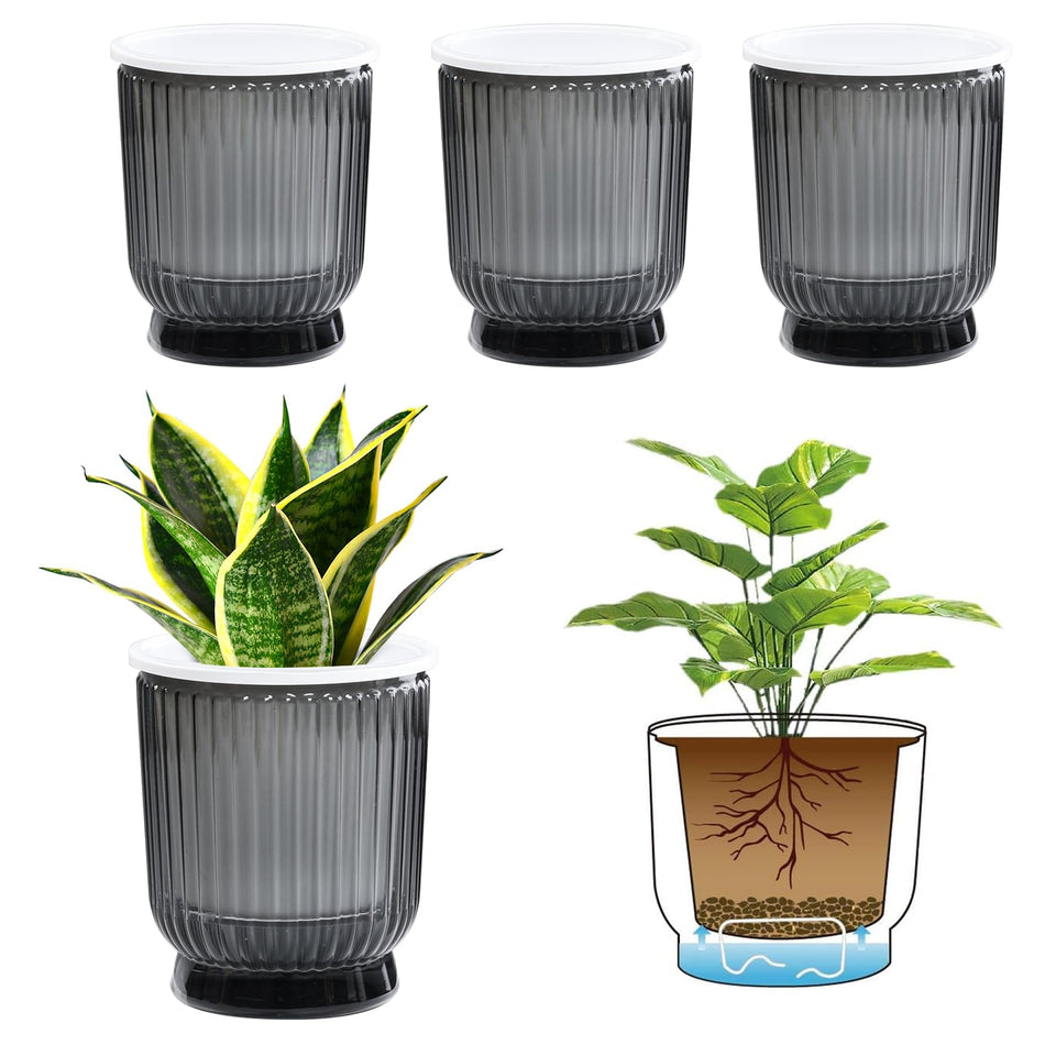 T4U 4.8-inch self-watering pot with reservoir keeps African violets hydrated.