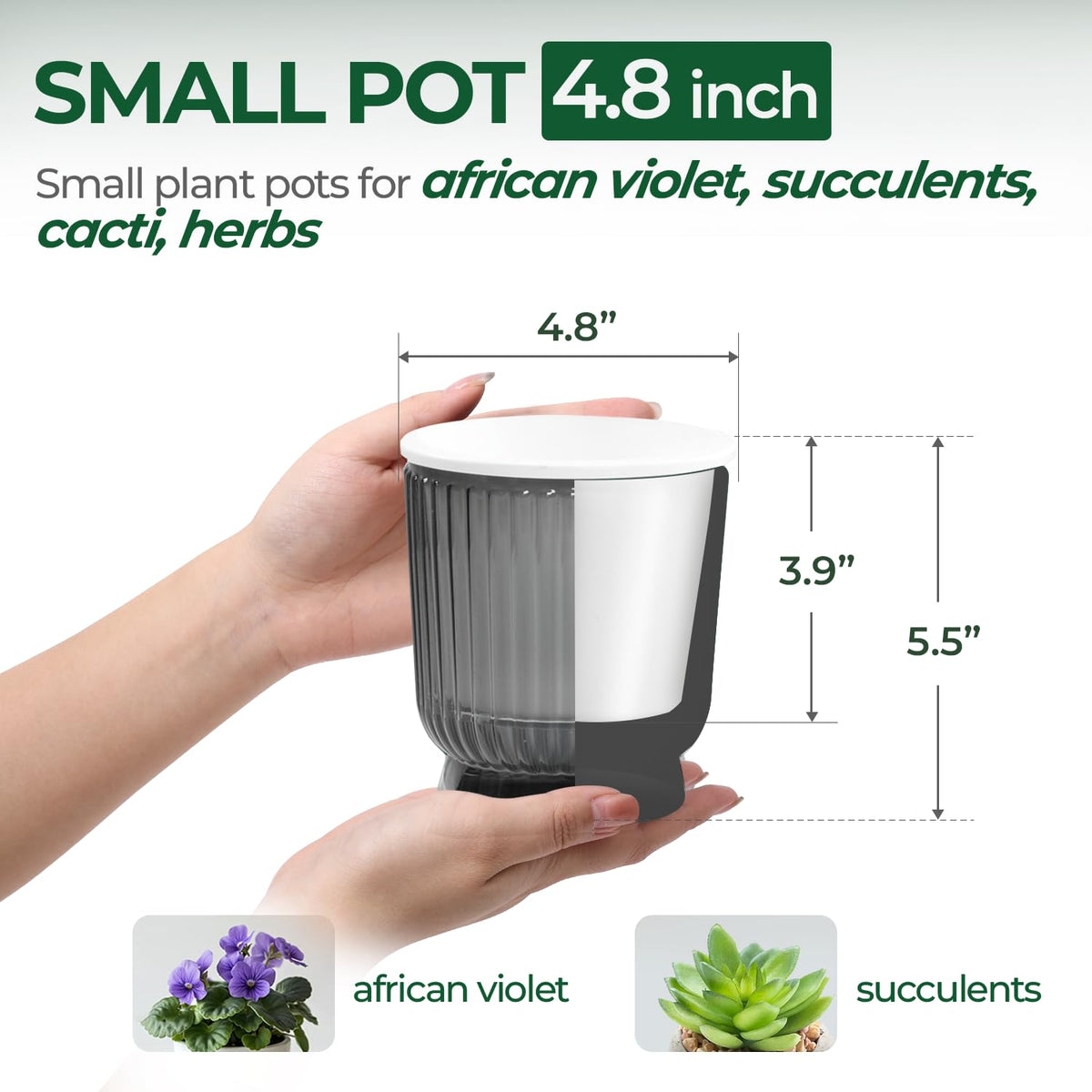 T4U self-watering pot shows water level clearly for easy moisture management.
