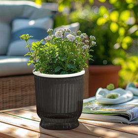 T4U 4-pack setup provides uniform pots for a tidy plant corner.