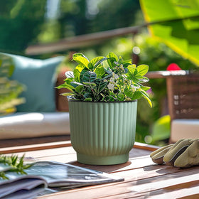 T4U 6-inch pot fits desks and small spaces at home or office
