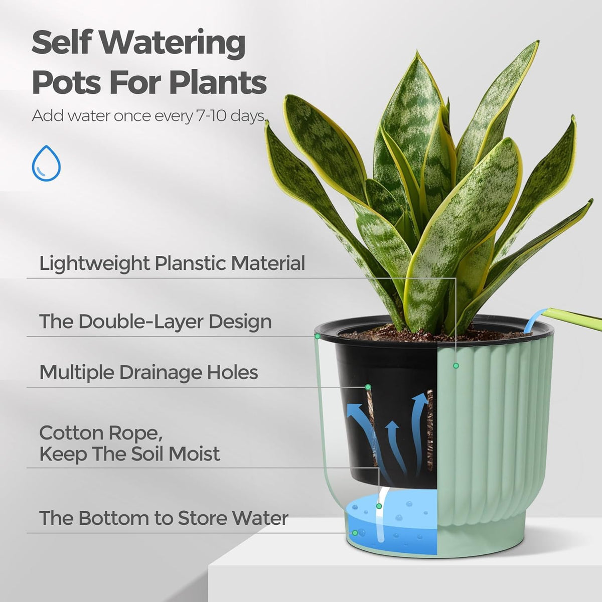 T4U 6-inch pot ideal for herbs and succulents with steady moisture
