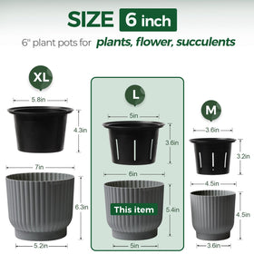 T4U 6-inch self-watering pot base water reservoir, extended hydration for plants.