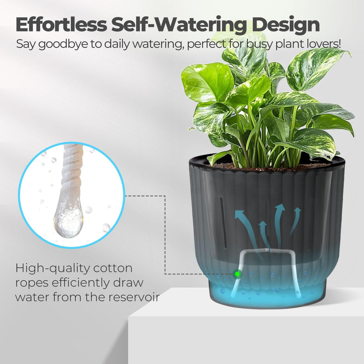 T4U 6-inch self-watering pot cotton rope system delivering steady moisture.