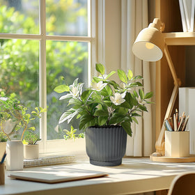 T4U 6-inch self-watering pot on a desk, perfect for office plants.