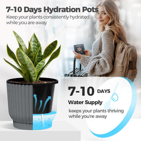 T4U 6-inch self-watering pot in use with succulents for beginners.