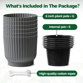 T4U 6-inch self-watering pot pack display showing a tidy 6-pack setup.