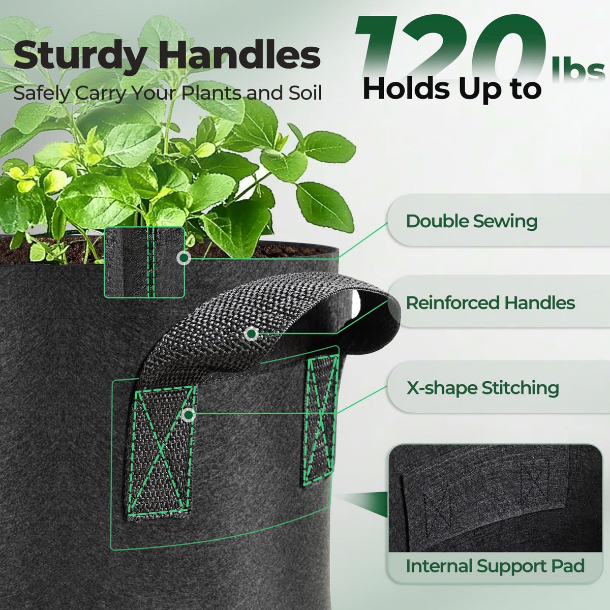 T4U air root pruning bag reduces root tangling.