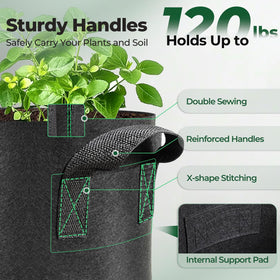 T4U air root pruning bag reduces root tangling.