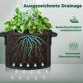 T4U air root pruning bags image showing healthier roots