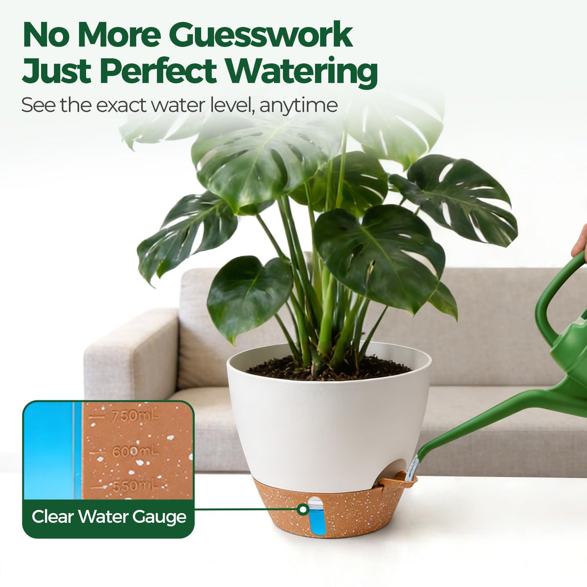 T4U indoor-outdoor self-watering pot for patios and desks