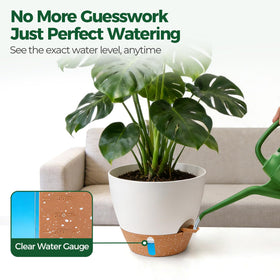 T4U indoor-outdoor self-watering pot for patios and desks