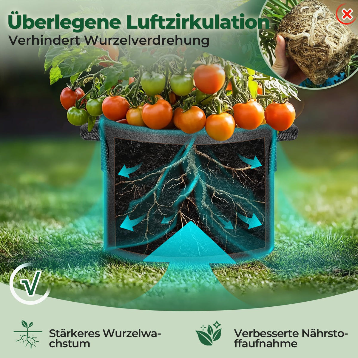 T4U breathable fabric grow bag in use promoting strong growth