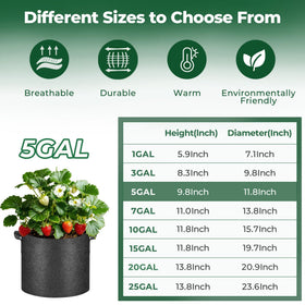 T4U breathable nonwoven 5 gal bag promotes root airflow.