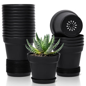 T4U 5-inch black pot with saucer for indoor display.