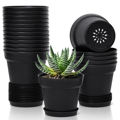 T4U 5-inch black pot with saucer for indoor display.