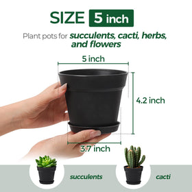 T4U 5-inch pot with drainage holes for healthy root flow.