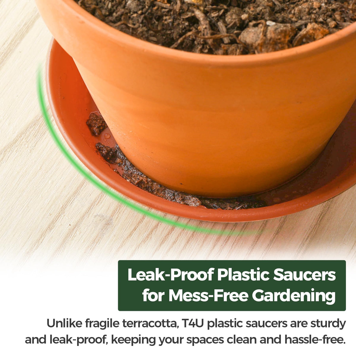 T4U pots make a thoughtful gift for plant lovers.